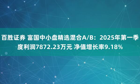 百胜证券 富国中小盘精选混合A/B：2025年第一季度利润7872.23万元 净值增长率9.18%