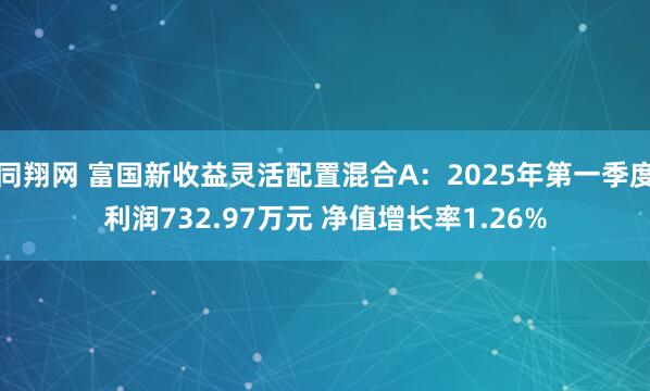 同翔网 富国新收益灵活配置混合A：2025年第一季度利润732.97万元 净值增长率1.26%