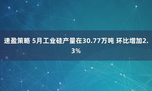 速盈策略 5月工业硅产量在30.77万吨 环比增加2.3%