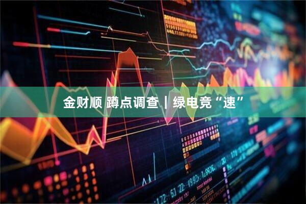 金财顺 蹲点调查｜绿电竞“速”