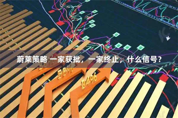 蔚莱策略 一家获批,一家终止,什么信号?
