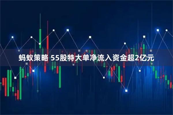 蚂蚁策略 55股特大单净流入资金超2亿元